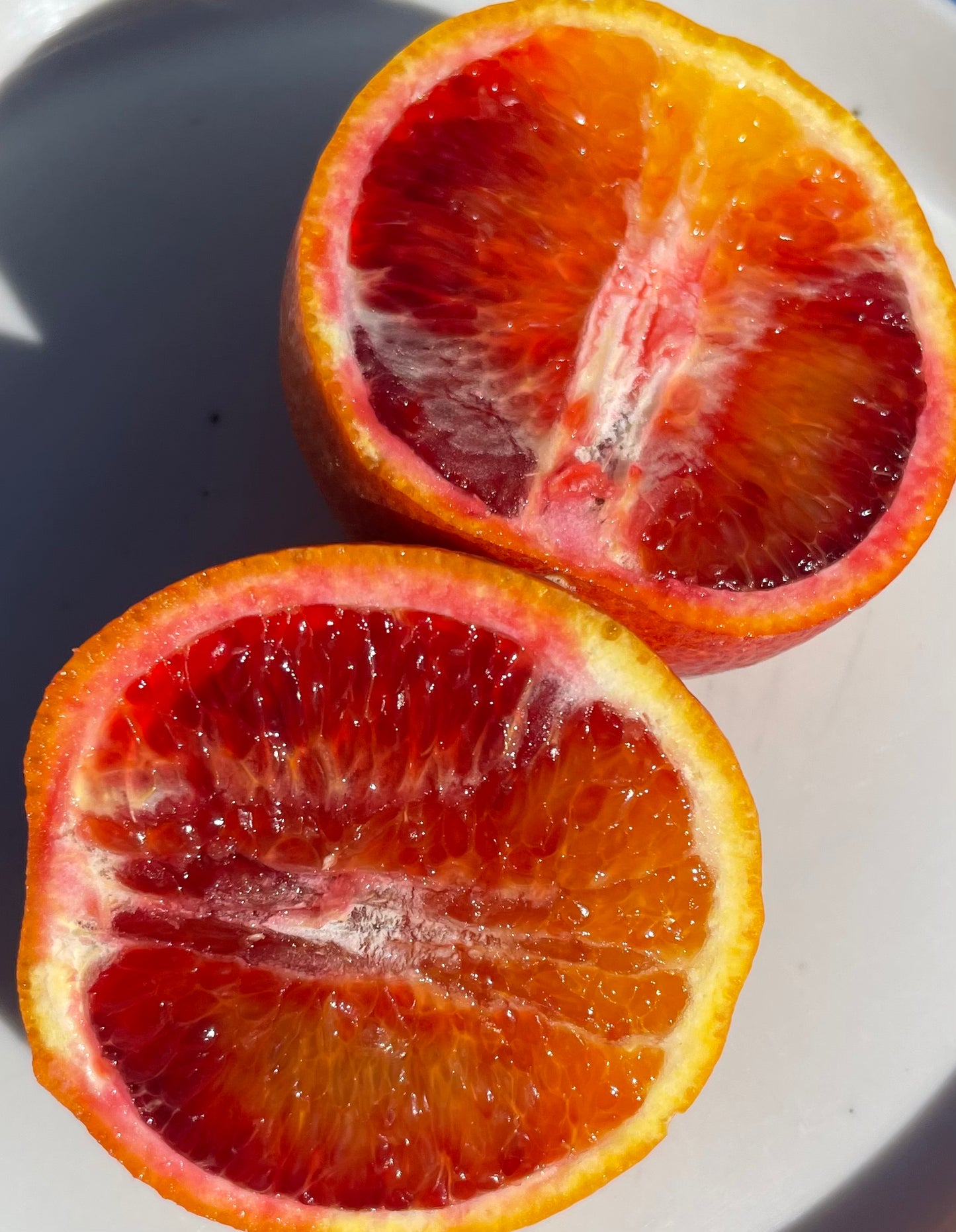 Blood Oranges- 1 Dozen