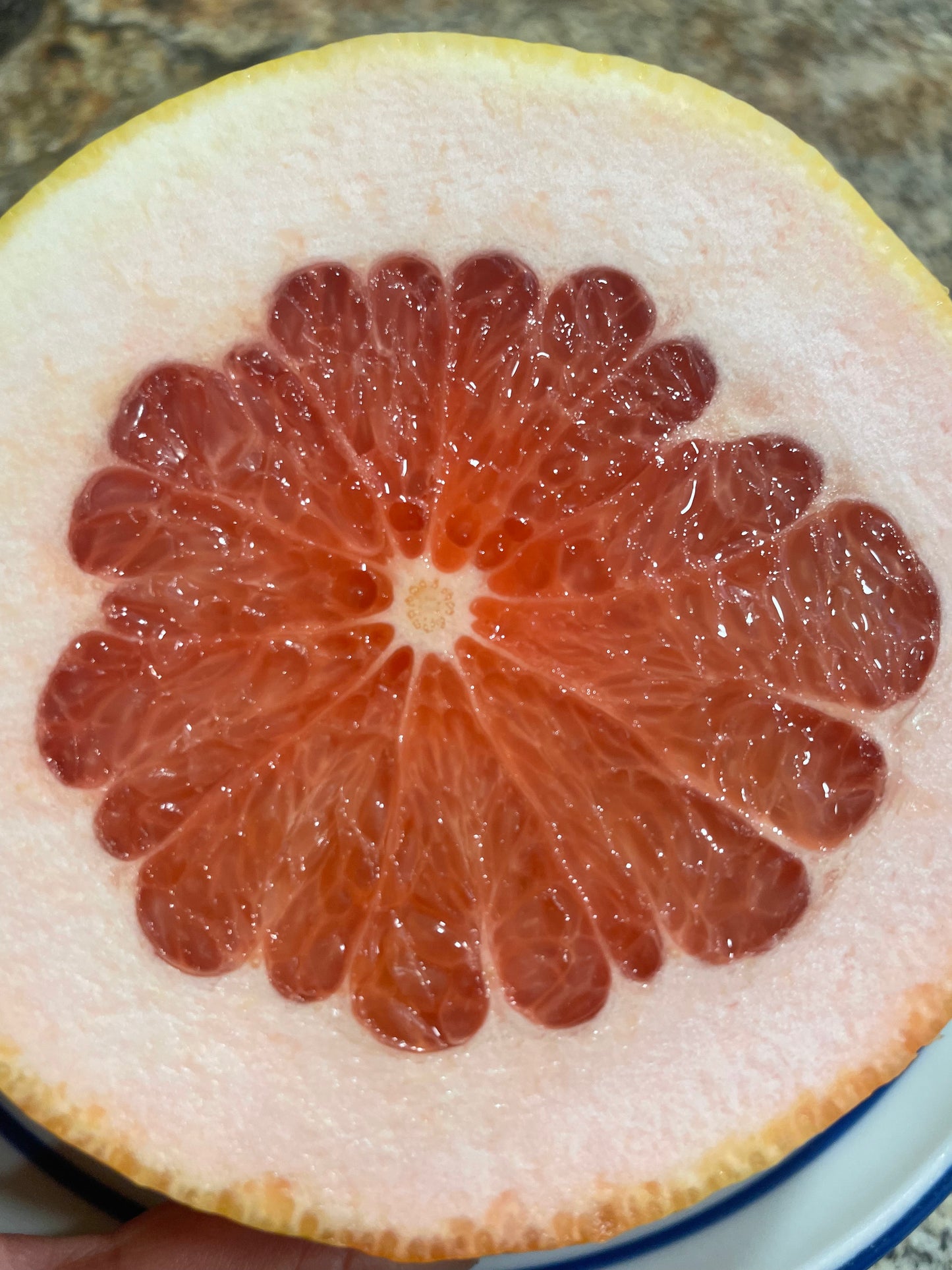 Pink Grapefruit - 2 Pieces