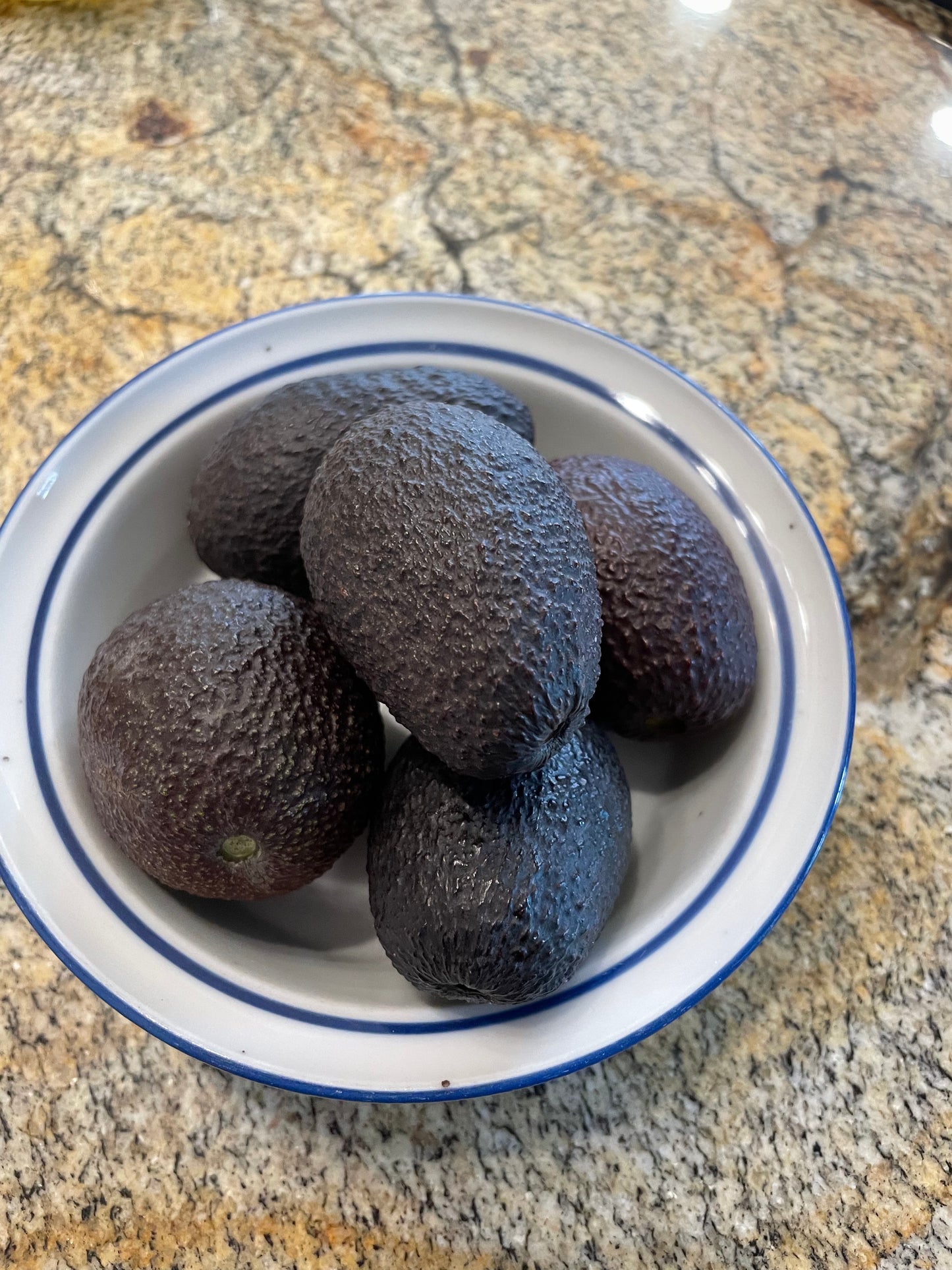 Single Serving Hass Avocados - Ten Pieces